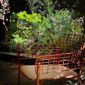  Appartement Loquat House Nel Giardino Segreto In Zona Vaticano